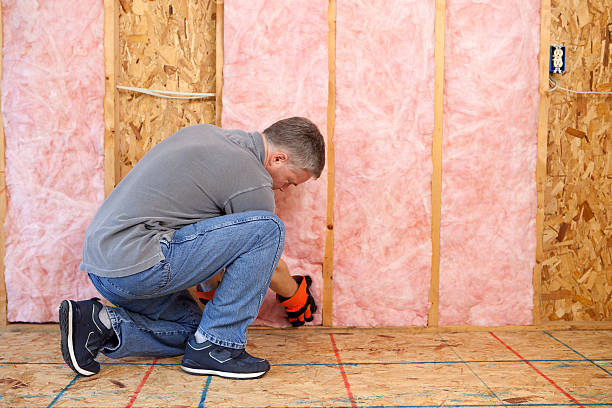 Best Insulation Replacement Services  in , CT